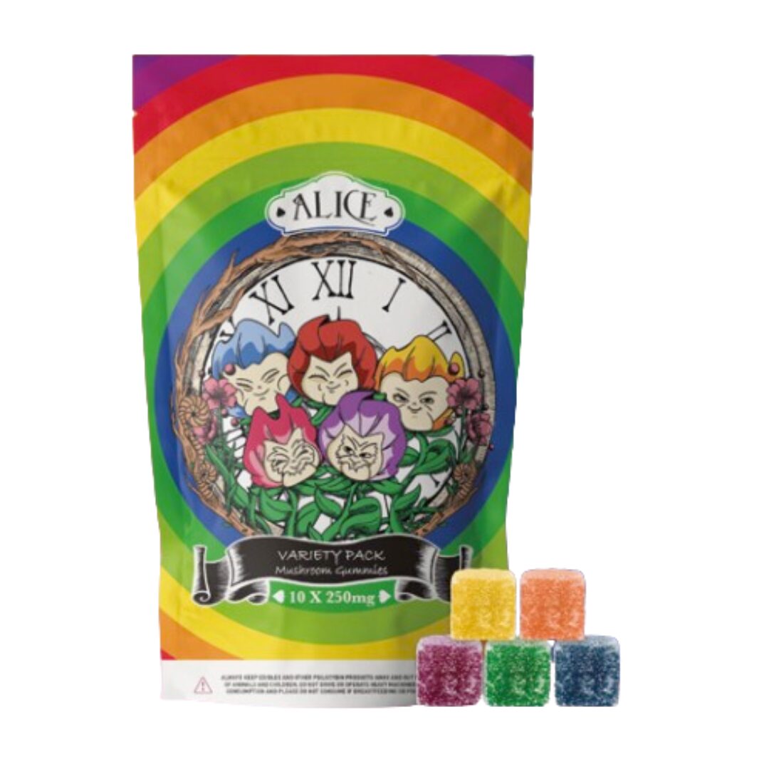 Alice Mushroom Gummy – Variety Pack